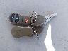 1J4GW48S51C****** Salvage 2001 Jeep Grand Cherokee in Hawaii State