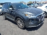 5NMS33AD7LH****** Salvamento y Destrozados 2020 Hyundai Santa Fe en Ace Carson