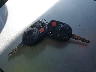 1FMCU9DG3BK****** Salvamento 2011 Ford Escape en Estado de Washington