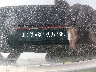 JF2GUABC1R8****** Used 2024 Subaru Crosstrek in Knoxville
