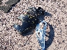 5GAKVCKD4EJ****** Destrozados 2014 Buick Enclave en Estado de Wisconsin