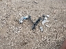 1G4PS5SK0C4****** Wrecked 2012 Buick Verano in Iowa State