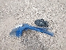MAJ3S2GE1KC****** Wrecked 2019 Ford Ecosport in Texas State