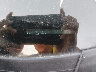 4S4BSELC7F3****** Usados 2015 Subaru Outback en Denver East