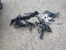 5N1BT3BB6SC****** Wrecked 2025 Nissan Rogue in Florida State