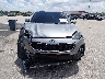 KNDPMCAC0N7****** Destrozados 2022 Kia Sportage en Estado de Florida