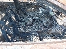 2C3CDXBG2EH****** Used and Repairable 2014 Dodge Charger in Virginia State