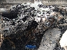 1FDWF37F3XE****** Salvamento y Reparables 1999 Ford F-350 en Estado de Nevada