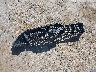 1FATP8FF1L5****** Wrecked 2020 Ford Mustang in California State