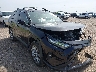 2T3C1RFV2PC****** Salvamento y Destrozados 2023 Toyota RAV4 en McAllen