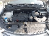 5NMZUDLB6HH****** Repairable 2017 Hyundai Santa Fe in Appleton