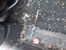 2HKRM3H39CH****** Wrecked 2012 Honda CR-V in Massachusetts State