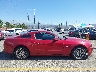 1ZVBP8AM3E5****** Reparables 2014 Ford Mustang en Estado de California
