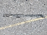 JM3KFACM7J0****** Repairable 2018 Mazda CX-5