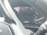 LRBFZNR48PD****** Salvage 2023 Buick Envision in Nashville