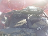 5NPE24AF8KH****** Repairable 2019 Hyundai Sonata in Pensacola