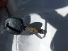 JTHBA30G855****** Salvage 2005 Lexus ES 330 in New Jersey State