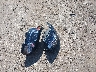 SALGS5FE4HA****** Wrecked 2017 Land Rover Range Rover in Massachusetts State