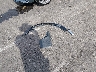 1FTFW1ET8CF****** Wrecked 2012 Ford F-150 in Illinois State