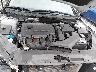 5NPE24AF5KH****** Repairable 2019 Hyundai Sonata in Shady Spring
