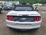 1FATP8UHXK5****** Usados 2019 Ford Mustang