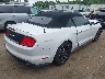 1FATP8UHXK5****** Salvamento y Destrozados 2019 Ford Mustang en Estado de Maryland