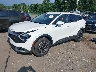 KNDPUCDF5S7****** Usados y Reparables 2025 Kia Sportage en Templeton