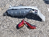 1N4BL4CV1NN****** Wrecked 2022 Nissan Altima in Mississippi State