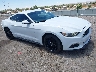 1FA6P8AMXH5****** Salvamento y Destrozados 2017 Ford Mustang en Albuquerque