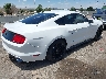 1FA6P8AMXH5****** Salvamento y Destrozados 2017 Ford Mustang en Estado de Nuevo México