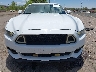 1FA6P8AMXH5****** Destrozados 2017 Ford Mustang en Estado de Nuevo México