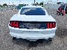1FA6P8AMXH5****** Destrozados 2017 Ford Mustang