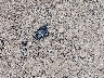 JM1BPALM0S1****** Wrecked 2025 Mazda 3 in Ohio State