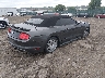 1FATP8EMXF5****** Salvamento y Destrozados 2015 Ford Mustang en Estado de Pennsylvania