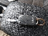 3KPF24AD6PE****** Salvage 2023 Kia Forte in Kentucky State