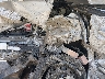 1HGFA16508L****** Wrecked 2008 Honda Civic in El Paso