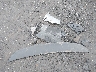1V2FMPE81PC****** Wrecked 2023 Volkswagen Id.4 in Virginia State