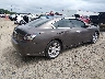 1N4AA5AP8DC****** Salvage and Wrecked 2013 Nissan Maxima in Georgia State