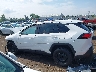 2T3F1RFV5SC****** Salvage 2025 Toyota RAV4