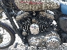 1HD1CGP116K****** Used 2006 Harley-Davidson Xl1200 in Springfield