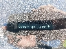KMHH35LE2JU****** Used 2018 Hyundai Elantra in Chicago South