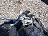JYARN48E7MA****** Salvage 2021 Yamaha MT-10 in Rec Rides Online Exclusive