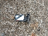 1FTFW1EF0EK****** Wrecked 2014 Ford F-150 in Ohio State