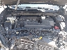 5N1AZ2BJ4MC****** Repairable 2021 Nissan Murano in Clearwater