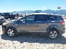 1FMCU9GXXDU****** Salvamento 2013 Ford Escape