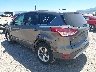 1FMCU9GXXDU****** Salvamento y Reparables 2013 Ford Escape en Missoula
