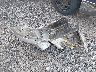 3VV2B7AXXKM****** Wrecked 2019 Volkswagen Tiguan in New York State