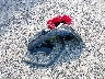 KNDJ23AU8S7****** Wrecked 2025 Kia Soul in New Jersey State
