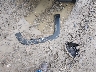 ZACNJDB19PP****** Wrecked 2023 Jeep Renegade in West Virginia State