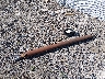 1D3HU18DX4J****** Wrecked 2004 Dodge Ram 1500 in Montana State